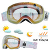 Ski Goggles