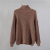 Turtle Neck Oversized Sweater