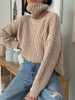 Turtle Neck Oversized Sweater