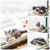 Cat Window Perch Hammock - Best Cat Window Bed