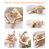 Toast Elizabethan Collar for Cat - E Collar for cat