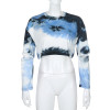Smoky Crop Long Sleeve Top