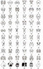 Customized Dog  ID Tags