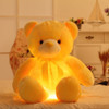 50cm LED Teddy Bear