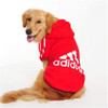 Big Dog Hoodie Big Dog Hoodie