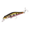 Minnow Fishing Bait