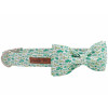 "Petlify Co" Cactus Dog Bow-Tie Collar
