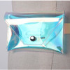 Clear Waist Bag Fanny Pack