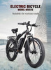 Electric Bike 1000W Fat Tires For Various Roads, Snow, Mountain and Beach Rides