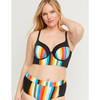 High Waist  Striped Bikini