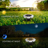 8 LED Solar Powered Ground Light