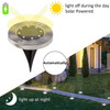 8 LED Solar Powered Ground Light