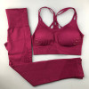 Seamless Yoga Set Women Fitness