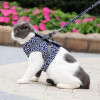 Pet Dog & Cat Vest Outdoor