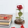 Enchanted Rose Lamps