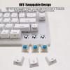 Womier K66 Keys Hot Swappable Mechanical Keyboard