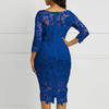 Elegant Round Neck Lace  Long Sleeve  Party Dress For Women
