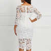 Elegant Round Neck Lace  Long Sleeve  Party Dress For Women