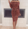 Women Elegant Bodycon Off The Shoulder Long Sleeve Cocktail Party Dresses