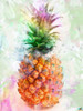 Pineapple Diamond Painting