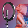 RGB Colorful LED Ring Light 10 Inch Stand 26CM Rainbow Ringlight USB With Phone Stand 16 Light Colors