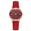 Starry Sky Dial Women Fashion Roman Scale Rhinestone Leather Wrist Watch