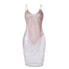 Dress - Sexy Bling Sequined Perspective Bodycon