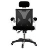 Computer Chair Chair Comfortable Home Students Sitting Net Cloth Chair Can Lift Contracted Office Chair