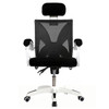 Computer Chair Chair Comfortable Home Students Sitting Net Cloth Chair Can Lift Contracted Office Chair