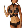 Seamless Lingerie New Transparent
