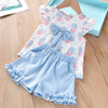 Clothes For Girls Summer Toddler Girls Clothes 2Pcs Outfits Kids Clothing For Girls Tracksuit Suit For Girls Children Clothing