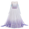 Popular Princess Girl Dress Party Dress Queen Elsa Anna Cosplay Costume Kids Dress Snow Queen Movie 2 Elsa Role Play Prom Full
