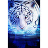 White tiger Diamond Painting