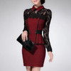 Fold-Over Collar  Patchwork  Lace Bodycon Dress