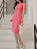 Boat Neck  Plain Bodycon Dress