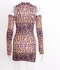 Leopard Sexy Body Mini Dress