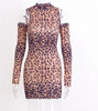 Leopard Sexy Body Mini Dress