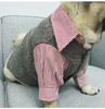 Dog Cat Wedding Party Suits