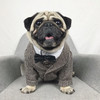 Dog Cat Wedding Party Suits