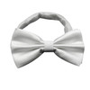 Men's bow tie Fashion Butterfly