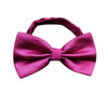 Men's bow tie Fashion Butterfly