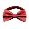 Men's bow tie Fashion Butterfly