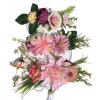 Elegant Flower Headband for Dogs