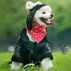 Winter Dog Hat - Unique Dog Gifts Hat for Dogs
