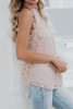 Band Collar Open Shoulder  Decorative Lace  Lace  Blouses Band Collar Open Shoulder  Decorative Lace  Lace  Blouses