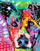 Dog Fashion Color