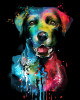 Dog Color Fashion Portrait