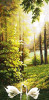 Swans in the Forest