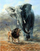 Lion and Elephant