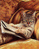 Don't mess with This Cat